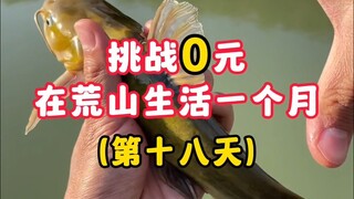 挑战用粉丝们寄的快递在荒山生活一个月（第十八天）