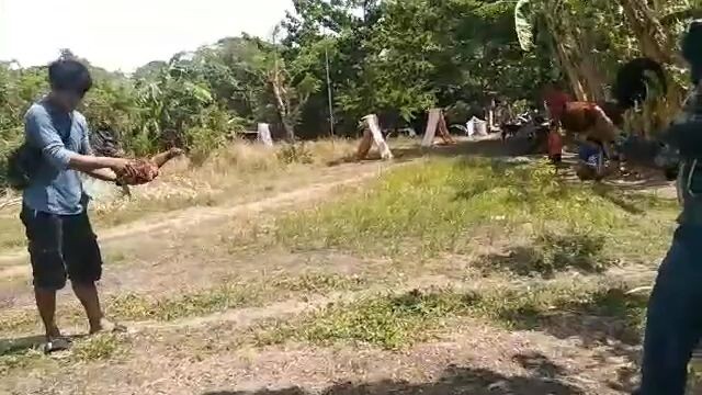 Panalo nanaman ang baklita q.kala q talo na.