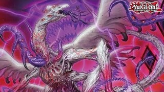 This Yu-Gi-Oh! Dragon Is INSANELY Good!