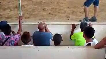 Super Lemon Hmabanahaw lines Co champion taytay palawan