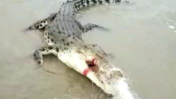 😵😵