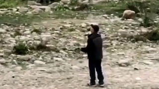 It turns out that flying a kite is not just about flying high!