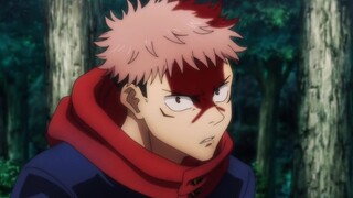 Jujutsu Kaisen - Todo and Yuji