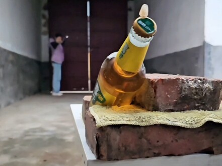 柿子红了#农村生活 #精彩片段#花大姐