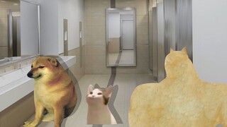 CHEEMS yêu thích thám hiểm