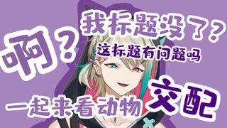 【Aza】"Some of you are too closed-minded. What's wrong with watching animals in JP?"