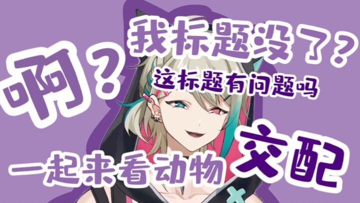 【Aza】"Some of you are too closed-minded. What's wrong with watching animals in JP?"