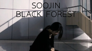 【Seo Soo-jin】Phục sinh đi, tình yêu của anh! BLACK FOREST Lật nhanh