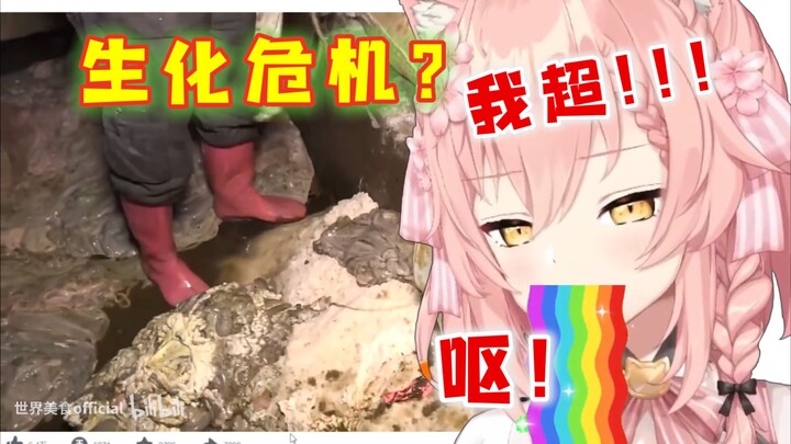 外国猫：圣诞看「世老师」是吧？劲儿太大了！【Hiiro】世界美食official