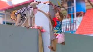 Super Strong Girl!! Wow, amazing Yaya climbs up on the wall from bottom to the top like the spider