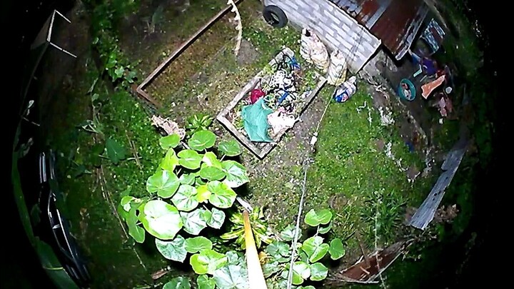 Unknown Flying Spirits