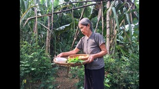 Ếch đồng nấu với măng rừng món ngon Mẹ làm (Frog cooked with bamboo shoots) Cơm Mẹ Nấu