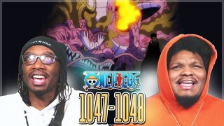 Momo Just Leveled Up! OP - Episode 1047 - 1048 Reaction
