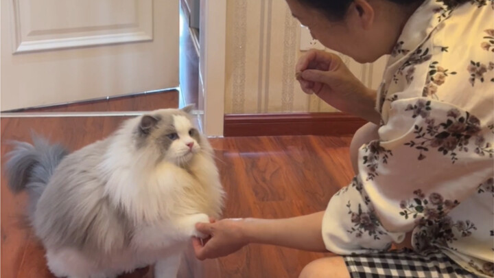 I entrusted my cat to my mom for a month, and now she won't let me keep it.