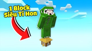 Minecraft, Nhưng Sinh Tồn Trên 1 Block Siêu Tí Hon Siêu Khó
