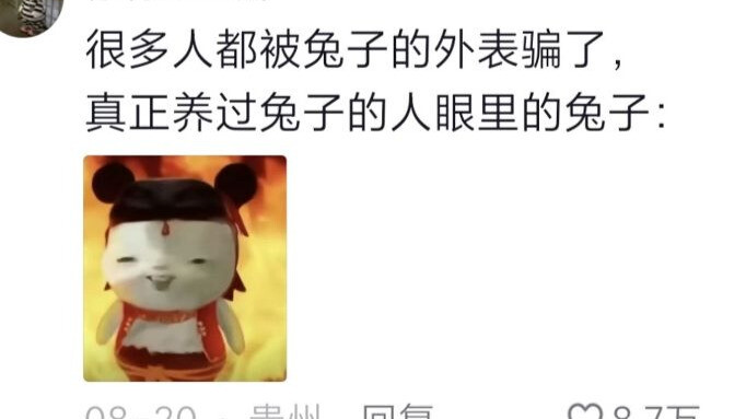 ใครที่เคยเลี้ยงกระต่ายจะรู้ดีว่า กระต่ายตัวนั้นใน “ความลับสุดพิเศษของเจ้านาย” ไม่ได้ออกนอกตัวละครเลย