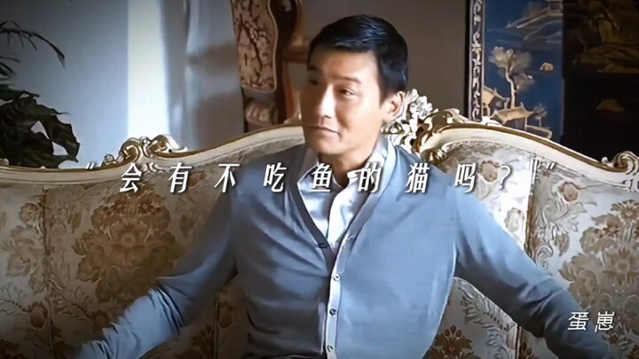 هل توجد قطط لا تأكل السمك؟