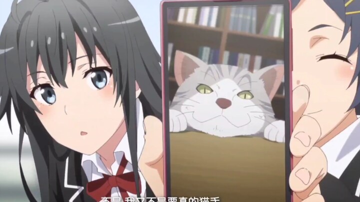 [Harmono New OVA] After hearing about cats, Yukino became addicted to cats and had fun with Komachi.