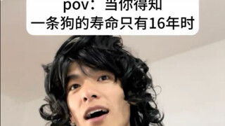 听说配这首音乐会变得很伤感，可我真的很伤感！