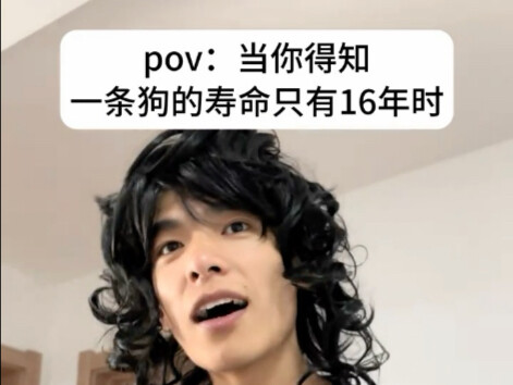听说配这首音乐会变得很伤感，可我真的很伤感！