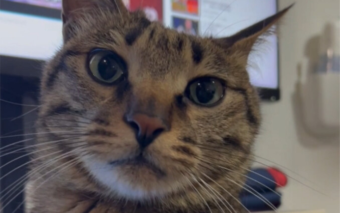 Uống chút nước của bạn thì sao?