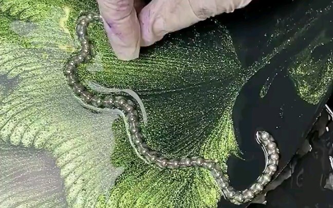 Process of Creating Textured Decorative Paintings