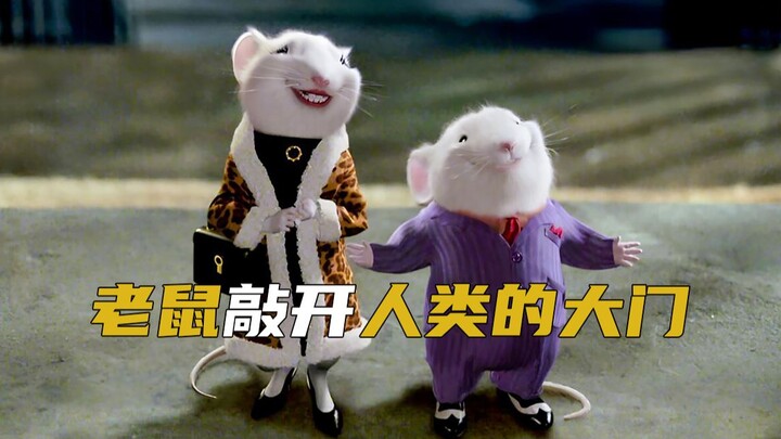 A Mouse Knocks on Humanity’s Door