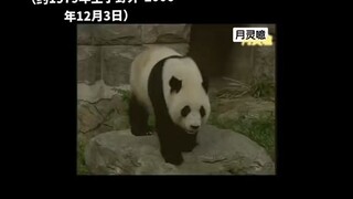 vinhvinhbackinh