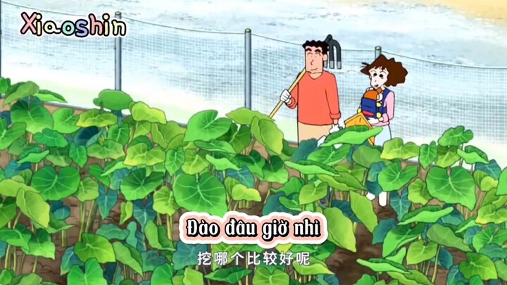 shin cậu bé bút chì : shin đi đào khoai