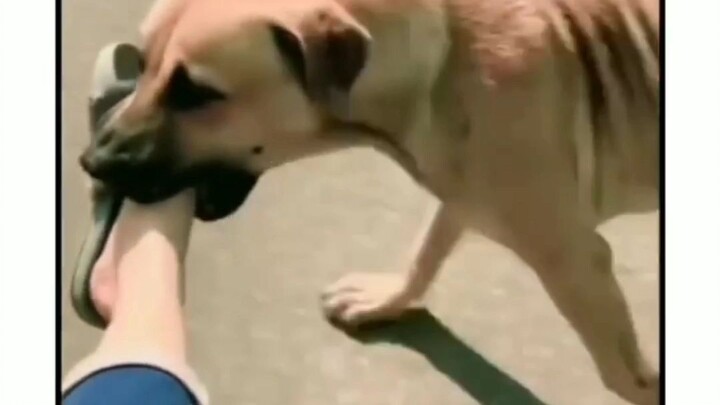 g terlupakan🤣🤣🤣🤣🤣🤣🤣