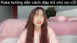Puka hướng dẫn cách đáp trả chủ nợ p1 #showbiz