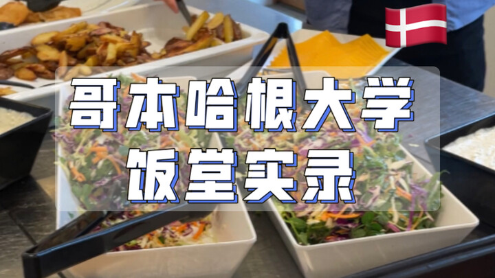Đan Mạch - Đại học Copenhagen: Ghi chép từ nhà ăn | Cuối cùng cũng thực hiện được điều mình luôn muố