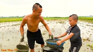 Đến Chịu Với Hai Anh Em Tam Mao Mang Cả Gà Ra Ruộng Để Luộc Bằng Bùn