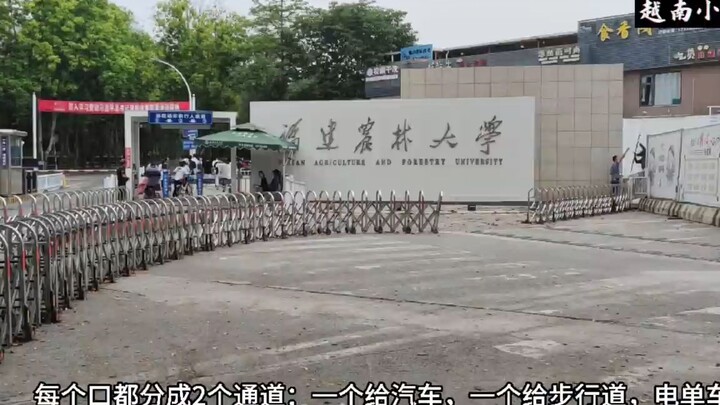 CÔ DÂU VIỆT _ĐỘT NHẬP_ VÀO TRƯỜNG ĐẠI HỌC CŨ CỦA CHỒNG TRUNG VÀ CÁI KẾT