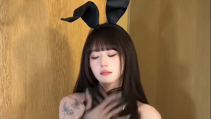 Mèo con muốn được xoa đầu