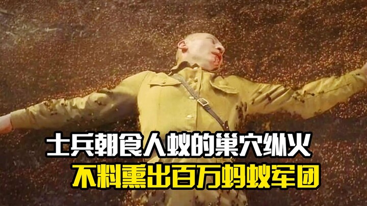 ทหารจงใจจุดไฟเผารังมดกินคน แต่กลับปลุกกองทัพมดนับล้านให้ออกมาจากหลุม พวกเขาจะทำอย่างไรดี?