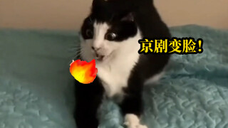 لا يوجد أي لون أسود وأبيض طبيعي