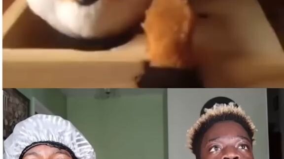 #funnyvideos #funny #funnymemes #memes #comedy #meme #memesdaily #dankmemes #tiktok #fun #lol #viral