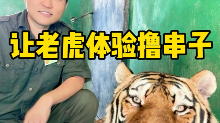 เสือโคร่งแมนจูเรียมาปิ้งย่าง ฟังดูสมเหตุสมผลใช่ไหม?