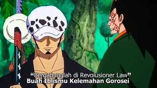 DISAAT GARP DIHACHINOSU! DRAGON MENEMUI TRAFALGAR LAW UNTUK ALIANSHI - ONE PIECE UPDATE