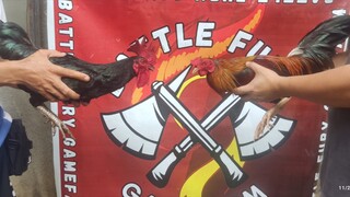 Sparring Sa Tag-ulan