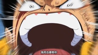 ONE PIECE CLIP