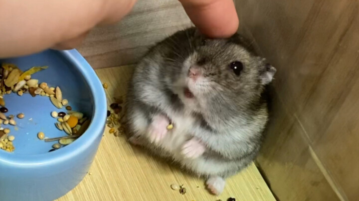 ขอโทษนะ คงน่าเบื่อไปหน่อย แค่อยากจะรบกวนคุณเท่านั้นเอง