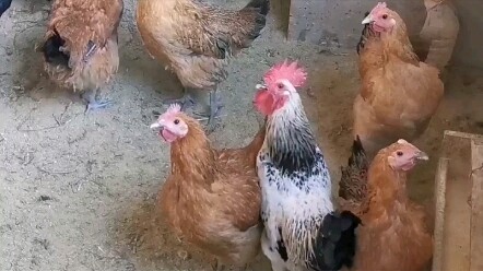 Expand Your Horizons Every Day (2021.12.04)