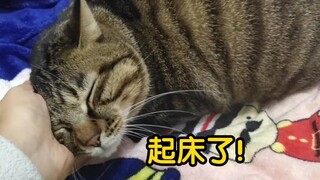 像不像你妈喊你起床的样子！