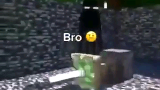 bro 🤨