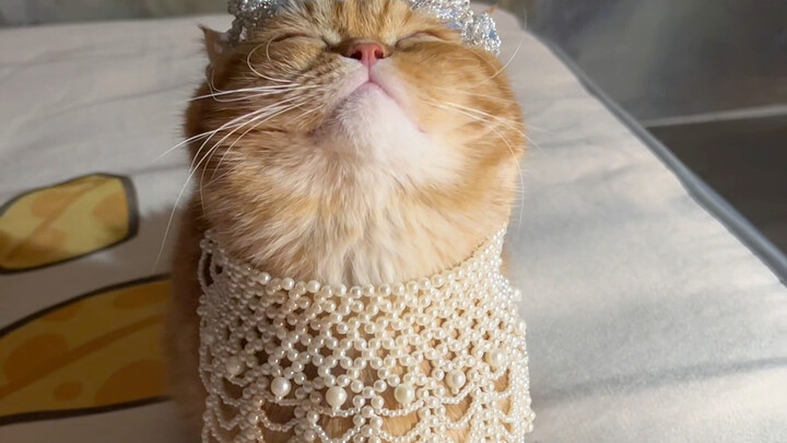 Bagaimana cara memuji rantai ini??