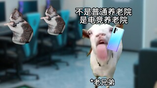 00后老了以后的样子