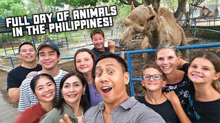 Epic Animal Day in the Philippines with South African Family ft. @dingodinkelman | Vlog #1733
