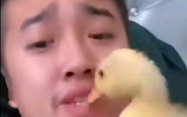 电   动   鸭   刷